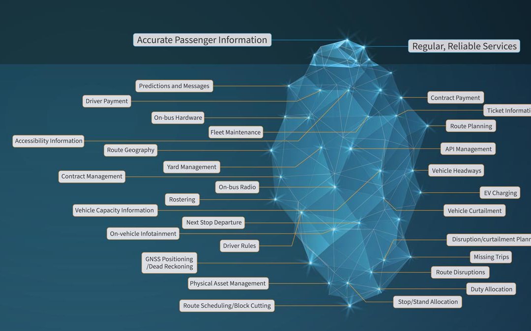 The Bus Passenger ‘Iceberg’: Making Sense of the Complex