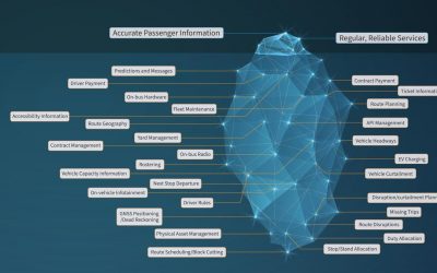 The Bus Passenger ‘Iceberg’: Making Sense of the Complex